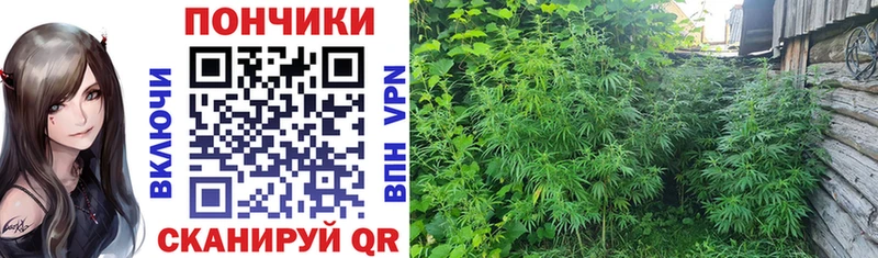 Канабис Bruce Banner Ковылкино